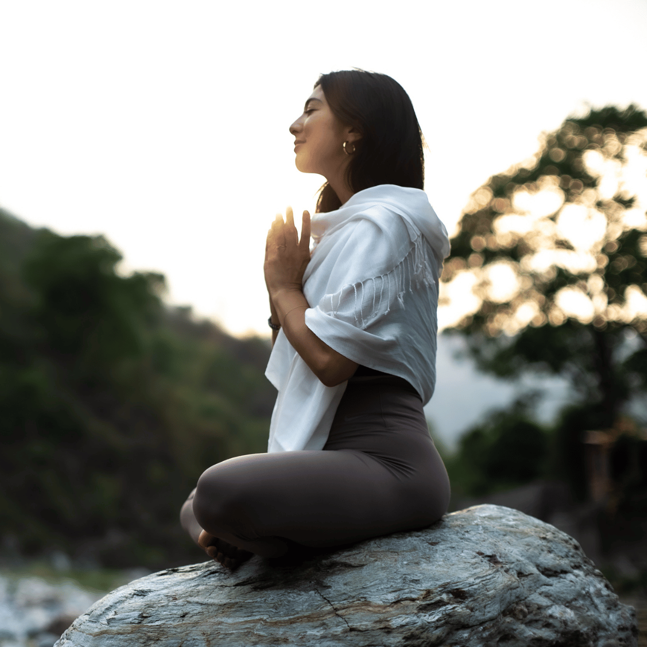 Why Meditate?