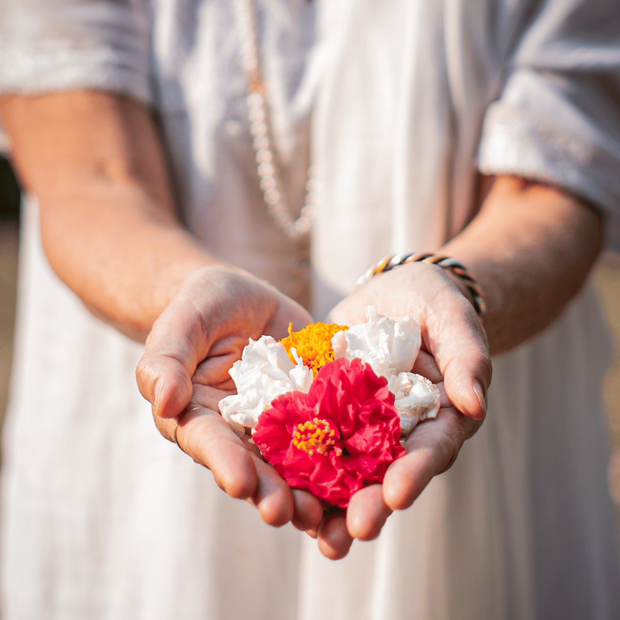 Choosing with the Heart: Living a Love-Led Life