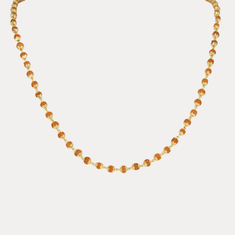 108 Rudrani Seed with 18kt gold necklace