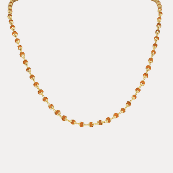 108 Rudrani Seed with 18kt gold necklace
